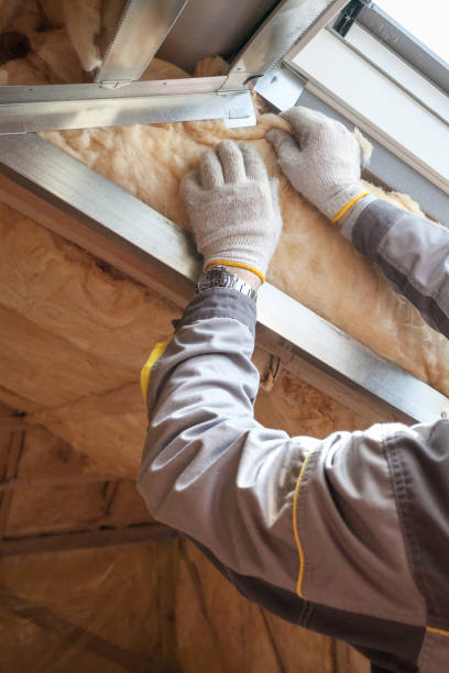 Best Eco-Friendly Insulation in Lexington, IL