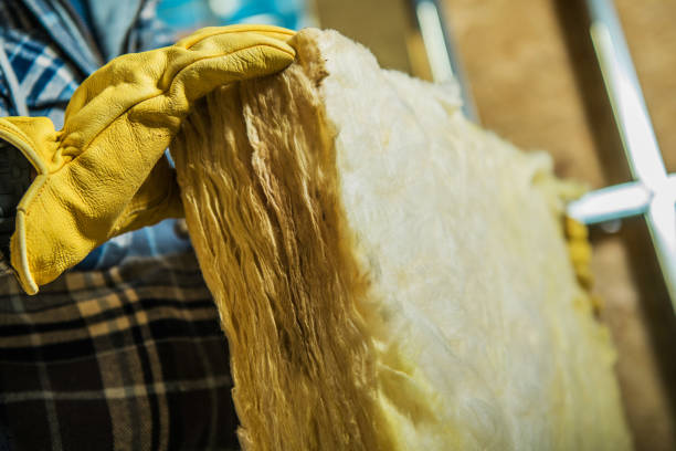 Best Geographic-Specific Insulation Services in Lexington, IL
