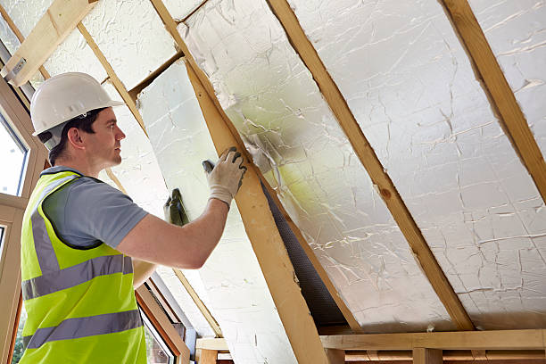 Best Specialized Insulation Services in Lexington, IL