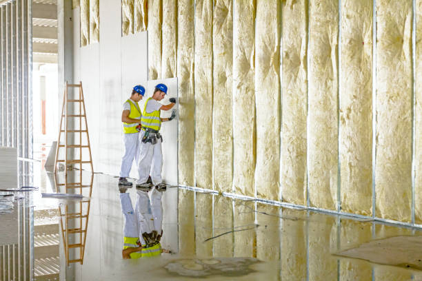 Best Insulation Maintenance and Repair in Lexington, IL